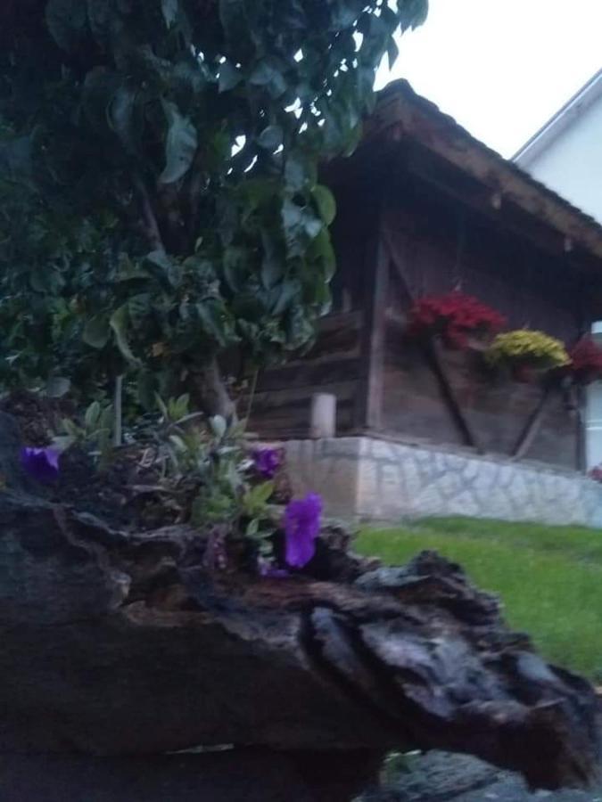Djurdja Apartment Arandelovac Buitenkant foto